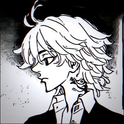 De quel gang n'a pas fait partie Mikey ?