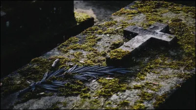 A quel &eacute;crivain doit-on l'�uvre "M&eacute;moires d'outre-tombe" ?