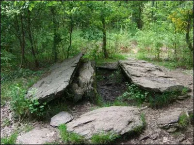 Qui a dit "ceux qui font les r&eacute;volutions &agrave; moiti&eacute; n'ont qu'&agrave; se creuser un tombeau" ?