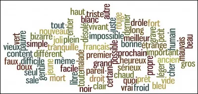 Quel adjectif te correspond le mieux ?