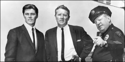 Comment se nomme cette série ?