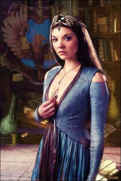 Qui a volé le diadème de Ravenclaw lorsque Rowena était encore en vie ?