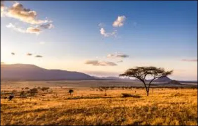 À quel chanteur doit-on "Un enfant assis attend la pluie" en 1985 ?