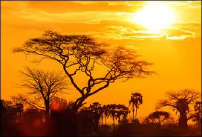 Qui a chanté "Le lion est mort ce soir" en 1962 ?