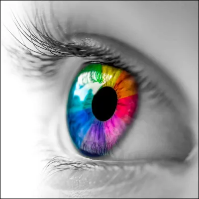 Quelle couleur te va bien ?