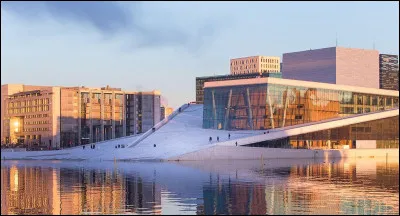 Oslo est la capitale de la Norvège. Les deux premières lettres désignent des organes du corps humain. Lesquels ?