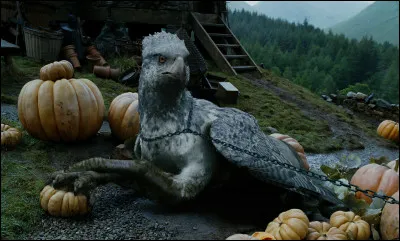 Vrai ou faux ? L'hippogriffe s'appelle Buck dans le tome 6.