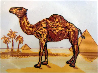 Sur quel paquet de cigarettes figurent les pyramides d'Egypte ?