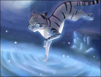 Une crue de la rivière survient brusquement. Lors d'une patrouille, tu vois un chaton d'un clan ennemi emporté par le courant...
Que fais-tu ?