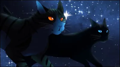 Ton chef meurt au combat. Selon la tradition, tu es nommé chef. Tu es ravi, mais tu entends Petit Museau et Oreille tachetée, deux anciens parler d'une malédiction à ton propos...
Quelle est ta réaction ?