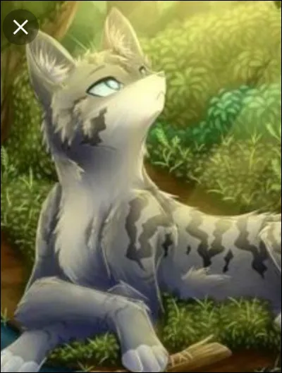 Quelle est ta première action de chef ?