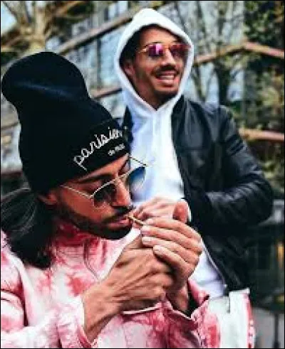 Quel genre de musique font-ils ?