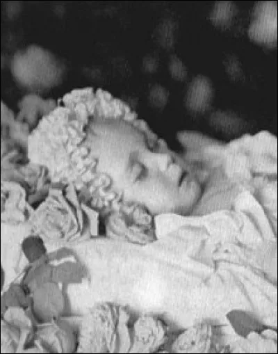 En quelle année est né Alexandre Alexandrovitch de Russie ?