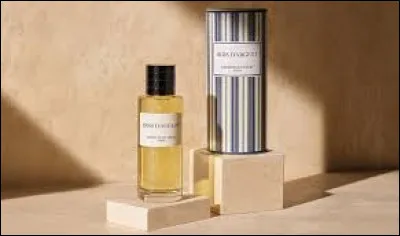 Quelle est ton activité favorite ?