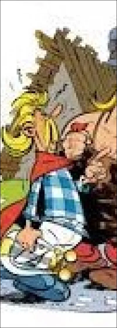 Quel personnage a obtenu un menhir d'or ? (1)