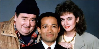 Qui interprète le rôle de Sonny Spoon dans la série éponyme ?