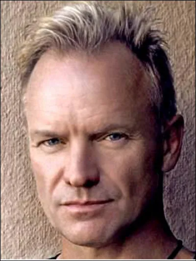 Qui est ce Gordon Summer, chanteur britannique né en 1951 ?