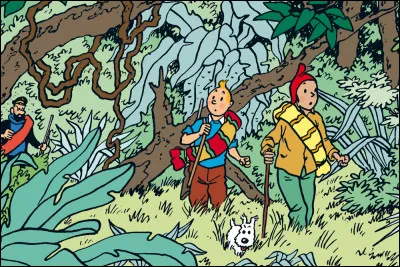 Dans l'album "Le Temple du Soleil", quel jeune Indien quechua conduit Tintin jusqu'au professeur Tournesol ?