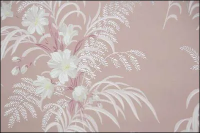 Quel prénom Paul Anka chantait-il ?