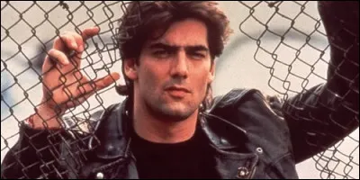 Dans "Un flic dans la mafia", Vincent Terranova est un agent de :