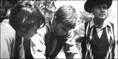 Comment se nomme cette série ?