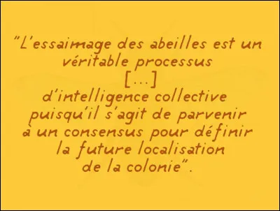 Voici ce que nous dit un chercheur concernant la vie sociale des abeilles et en particulier l'essaimage. [Retrouvez le qualificatif manquant !]