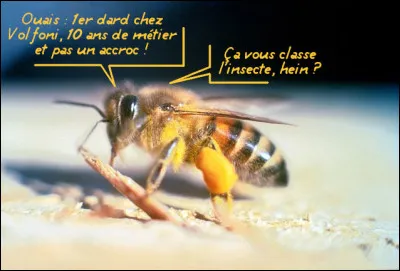 Celle-ci fait beaucoup parler d'elle et pas forcément en bien : elle en a gagné un surnom ...