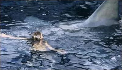 Qui exige 10 000 dollars ?