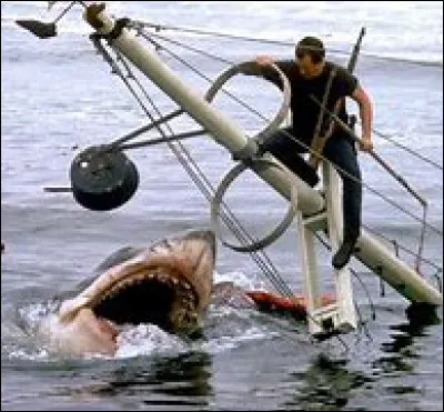 Quel requin les pêcheurs attrapent-ils par erreur ?