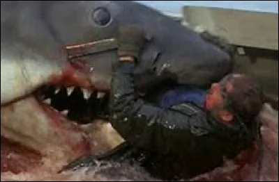 Quelle est la phobie de Brody ?