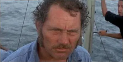 Que met Brody dans la gueule du requin ?