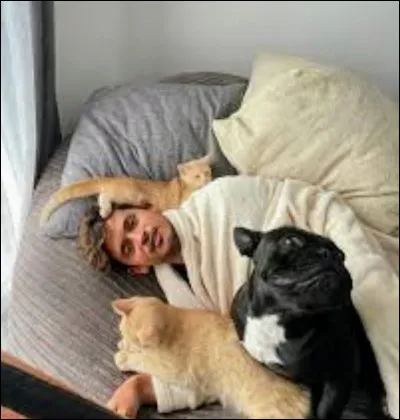 Comment s'appellent les deux chats de Noholito ?