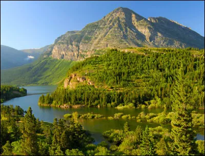 Arts : Lequel de ces grands romans n'a pas été écrit par un américain ?