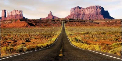 Politique : Quel animal est le symbole du parti démocrate américain ?