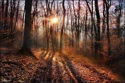 Quel jour est toujours au soleil quand on est derrière les carreaux et quand on travaille ?