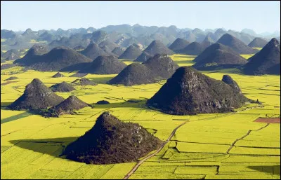 Culture : Quel est le dernier pilier de la pensée chinoise avec le confucianisme et le bouddhisme ?