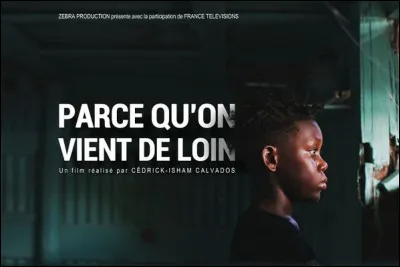 P comme "Parce qu'on vient de loin" : 
Qui chante cette chanson sur l'album du même nom ?