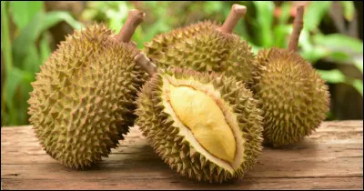 Voici un drôle de fruit ! Ce fruit asiatique peut faire entre 1 et 5 kilos, et a été interdit d'être transporté en public par rapport à sa forte odeur. Ce fruit s'appelle le Durian, mais sais-tu comment les Thaïlandais le surnomment ?