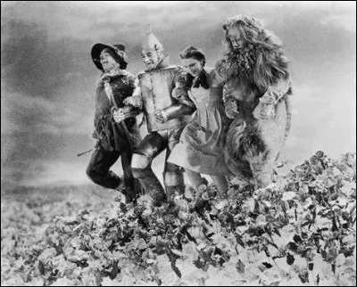 Quel professeur va convaincre Dorothy de retourner auprès de sa famille ?