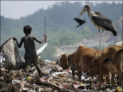 Politique : Comment est appelée cette population indienne jugée comme hors castes et affectée à des fonctions ou métiers jugés impurs ?