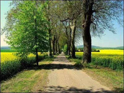 Combien de départements y retrouve-t-on ?