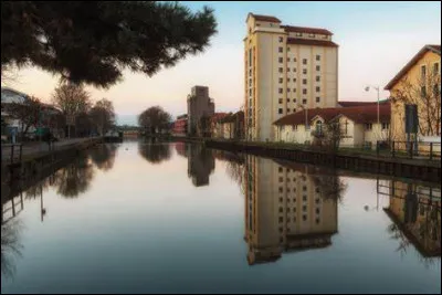 Pour lesquels de ces arbres la forêt de Darney n'est-elle pas spécialement réputée ?