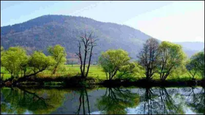 A quel roi Nicole de Lorraine avait-elle été initialement promise ?