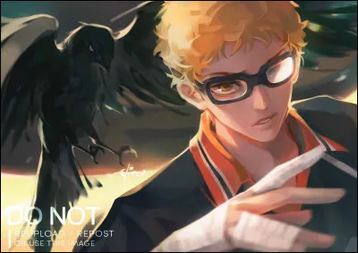 Dans un combat tu es du genre...