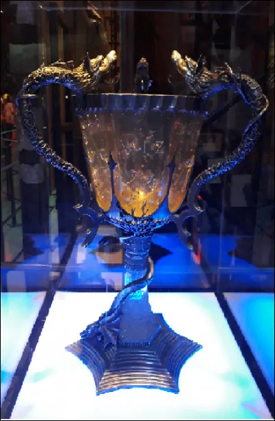 En sortant de la salle, nous pouvons apercevoir la coupe de feu qui est dans le quatrième tome.
Quel est l'âge limite pour participer à la coupe de feu ?