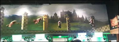 Puis vient le côté quidditch.
Comment se nomme l'auteur de "Le Quidditch à travers les âges" ?