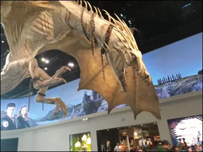 En entrant dans le studio, nous tombons nez à nez avec le dragon gardien de Gringotts.
Pourquoi ce dragon est-il aveugle ?