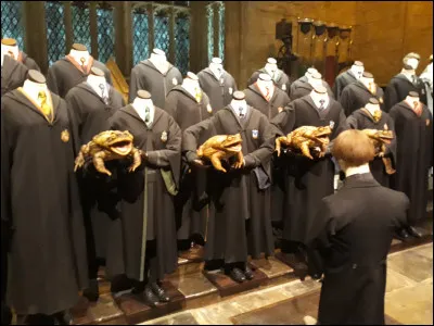 Ensuite, nous regardons une courte vidéo et nous nous dirigeons vers la Grande Salle.
Quel est le nom de la chanson que les élèves chantent accompagnés de leurs crapauds ?