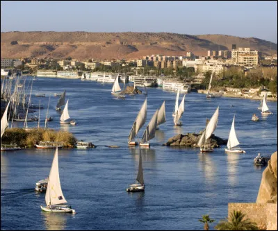 Géographie : Quelle information concernant le Nil est inexacte ?