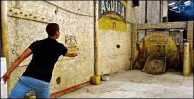 Sport : Comment s'appelle ce sport qui est considéré comme le sport national ?